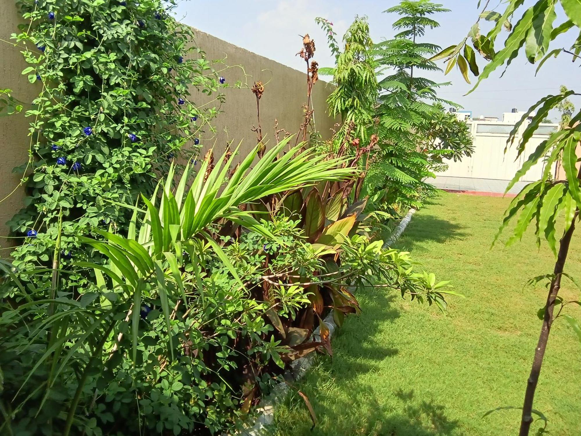 Suvarna Farm'S Otel Wātka Dış mekan fotoğraf
